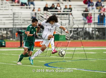 Thumbnail 1 in Mayde Creek vs Klein Forest photogallery.