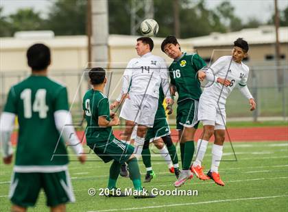 Thumbnail 2 in Mayde Creek vs Klein Forest photogallery.