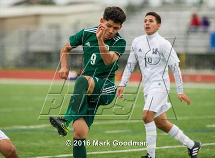 Thumbnail 2 in Mayde Creek vs Klein Forest photogallery.