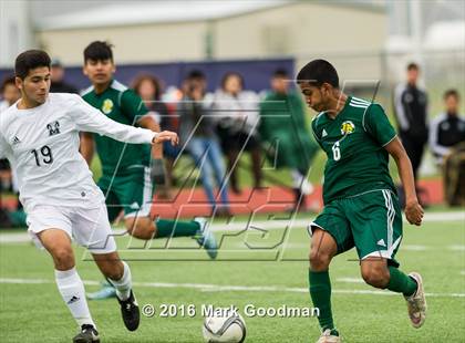 Thumbnail 1 in Mayde Creek vs Klein Forest photogallery.