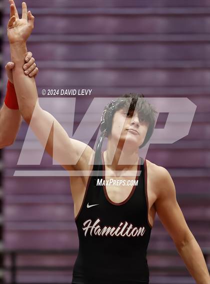 Thumbnail 3 in Queen Creek @ Hamilton photogallery.