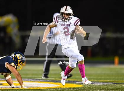 Thumbnail 2 in Moline @ Sterling photogallery.