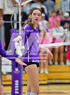 Photo from the gallery "Bear Creek @ Arvada West"