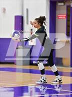 Photo from the gallery "Bear Creek @ Arvada West"