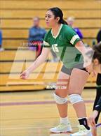 Photo from the gallery "Bear Creek @ Arvada West"