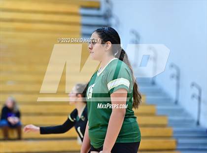 Thumbnail 2 in Bear Creek @ Arvada West photogallery.