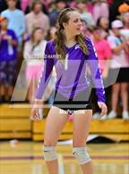 Photo from the gallery "Bear Creek @ Arvada West"