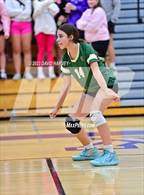 Photo from the gallery "Bear Creek @ Arvada West"