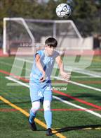 Photo from the gallery "Sequoia @ Hillsdale"