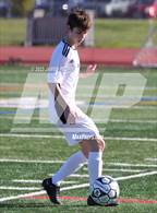 Photo from the gallery "Sequoia @ Hillsdale"