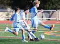 Photo from the gallery "Sequoia @ Hillsdale"