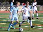 Photo from the gallery "Sequoia @ Hillsdale"