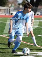 Photo from the gallery "Sequoia @ Hillsdale"