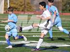 Photo from the gallery "Sequoia @ Hillsdale"