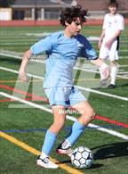 Photo from the gallery "Sequoia @ Hillsdale"