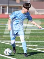 Photo from the gallery "Sequoia @ Hillsdale"