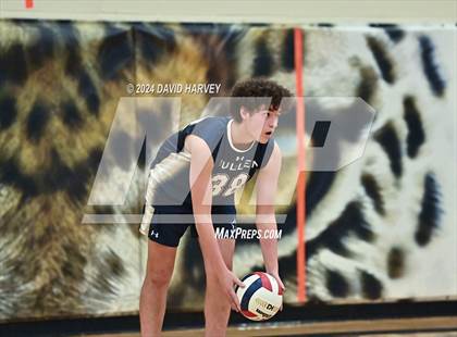 Thumbnail 1 in D'Evelyn vs Mullen photogallery.