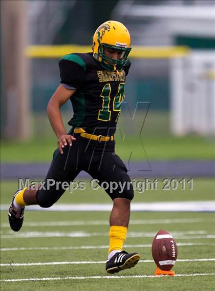 Thumbnail 3 in Manvel @ Sharpstown photogallery.