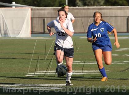 Thumbnail 3 in Branson @ Marin Catholic photogallery.