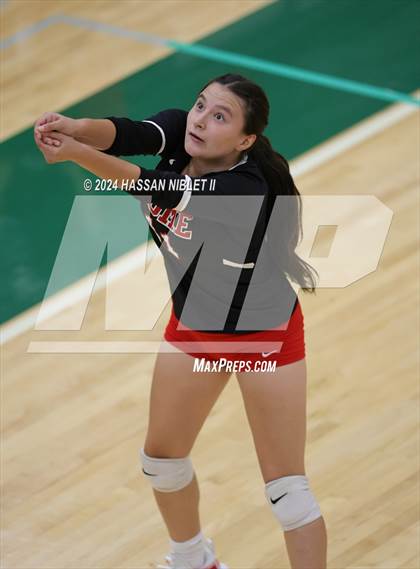 Thumbnail 1 in Coosa vs. Rome photogallery.