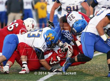 Thumbnail 3 in Hutchinson @ Maize photogallery.
