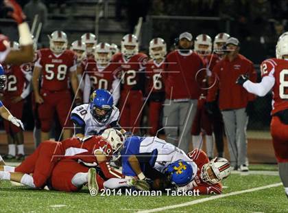 Thumbnail 1 in Hutchinson @ Maize photogallery.