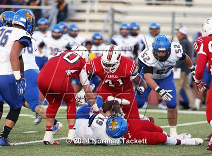 Thumbnail 2 in Hutchinson @ Maize photogallery.