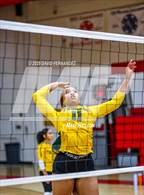 Photo from the gallery "Pine Forest @ Hoke County"