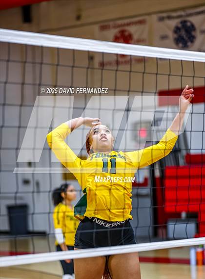 Thumbnail 1 in Pine Forest @ Hoke County photogallery.