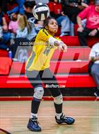 Photo from the gallery "Pine Forest @ Hoke County"