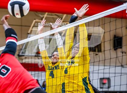 Thumbnail 1 in Pine Forest @ Hoke County photogallery.