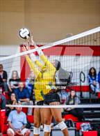 Photo from the gallery "Pine Forest @ Hoke County"