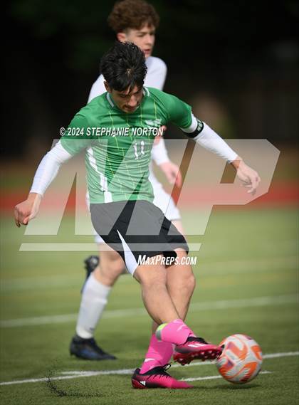 Thumbnail 3 in Olympia @ Tumwater photogallery.