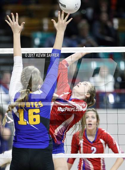 Thumbnail 2 in Springfield vs. Genoa-Hugo/Karval (CHSAA 1A Pool Play) photogallery.