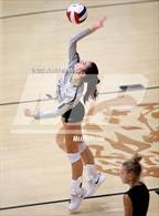 Photo from the gallery "Bauxite @ Malvern"