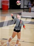 Photo from the gallery "Bauxite @ Malvern"