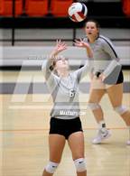 Photo from the gallery "Bauxite @ Malvern"
