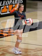 Photo from the gallery "Bauxite @ Malvern"