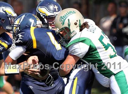 Thumbnail 1 in St. Patrick/St. Vincent @ Berean Christian photogallery.