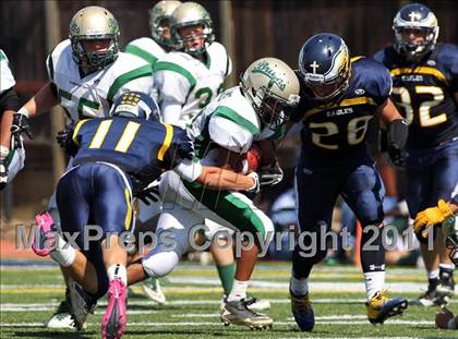 Thumbnail 1 in St. Patrick/St. Vincent @ Berean Christian photogallery.
