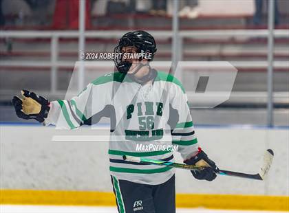 Thumbnail 3 in Pine-Richland @ Seneca Valley photogallery.