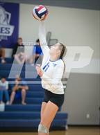 Photo from the gallery "American Leadership Academy - Gilbert North vs. Snowflake (Spiketown Invitational Final)"
