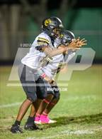 Photo from the gallery "Chico @ Santo"