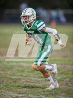 Photo from the gallery "Chico @ Santo"