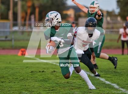 Thumbnail 3 in Dunedin @ Lakewood Ranch photogallery.