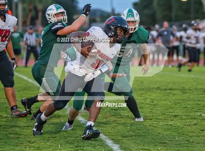 Thumbnail 1 in Dunedin @ Lakewood Ranch photogallery.