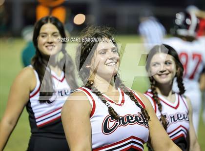 Thumbnail 3 in Stewarts Creek @ Hillsboro photogallery.