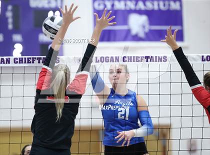 Thumbnail 1 in Gallia Academy vs Circleville (OHSAA D4 District Final) photogallery.