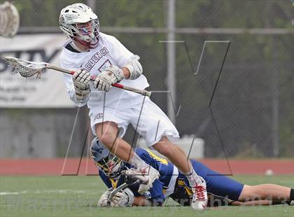 Thumbnail 2 in Shoreham-Wading River @ Garden City photogallery.