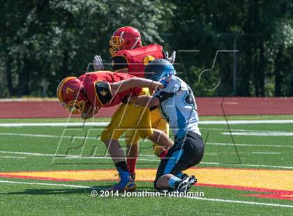 Thumbnail 3 in Vista Ridge @ Northglenn photogallery.